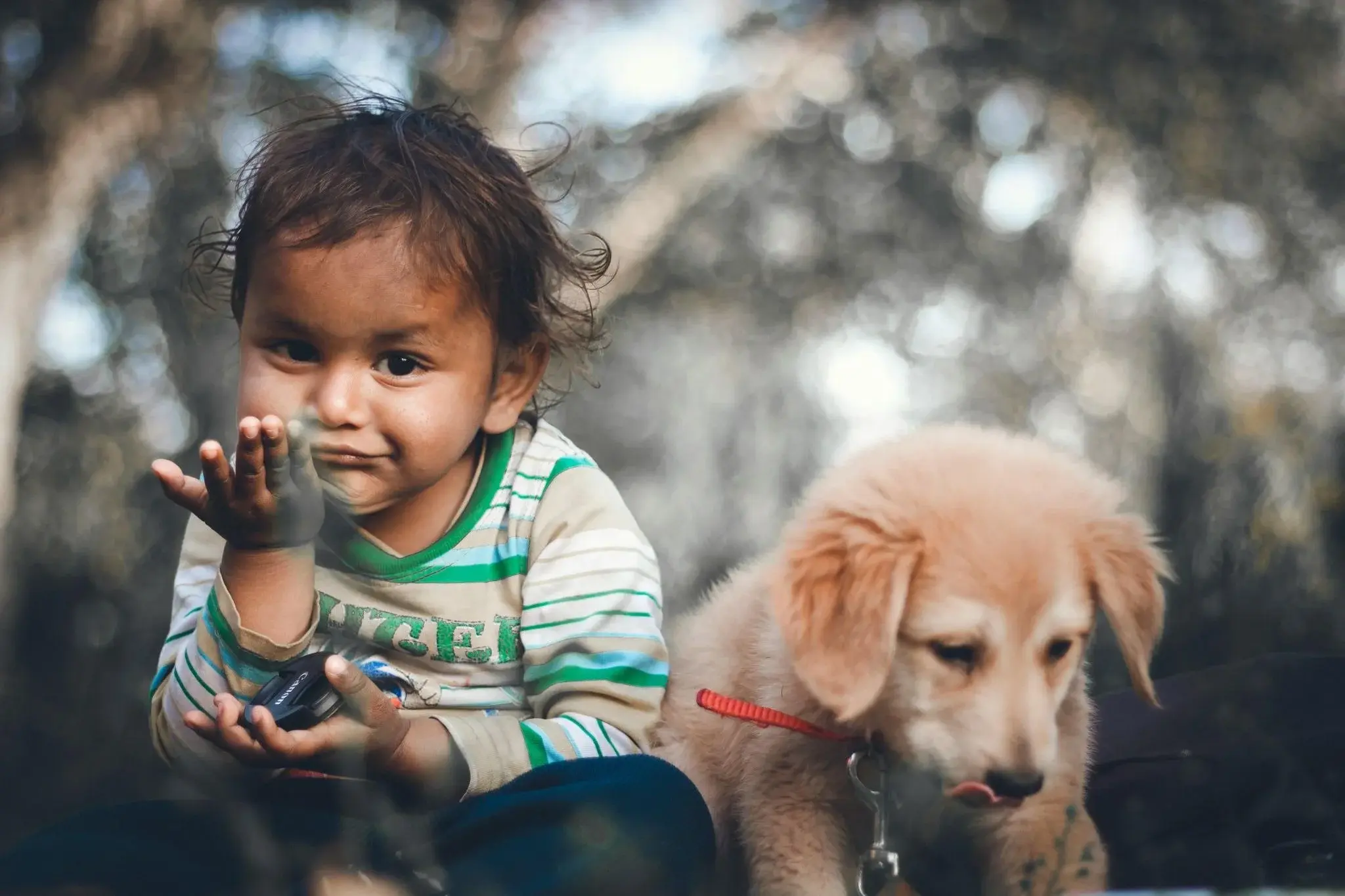 pets gt kids